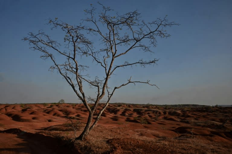 Imagen del desierto de Gilbués, en el estado nororiental de Piauí, Brasil, el 30 de septiembre de 2023 (Nelson ALMEIDA)