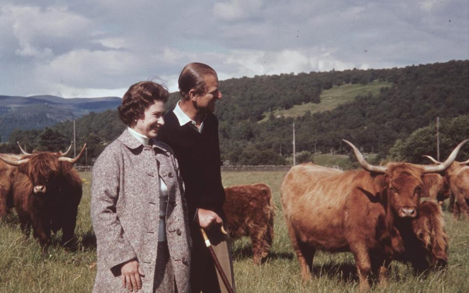 Queen Elizabeth II and Prince Philip in a field with some highland cattle at Balmoral, Scotland, 1972. - Fox Photos/Hulton Royals Collection