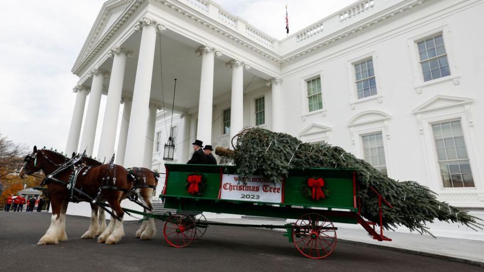 first lady jill biden receives the 2023 white house christmas tree