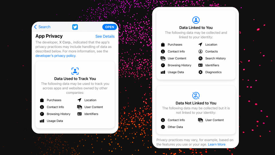 Twitter App Privacy as seen on the iOS App Store