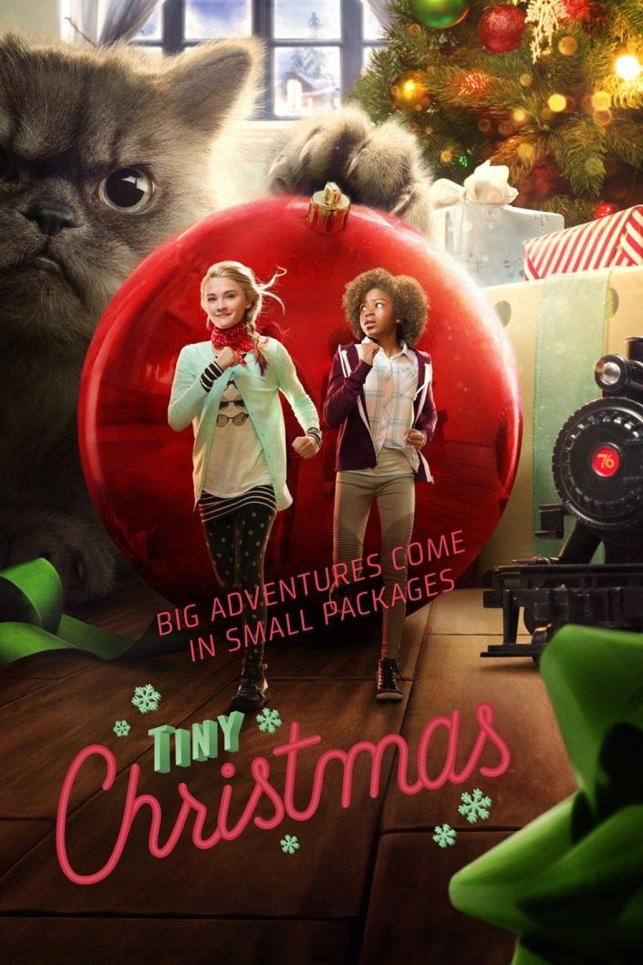 <p>Two kids are accidentally shrunk by a careless elf and end up in Santa's giant bag. The two are transported to the neighbors house before they are able to escape the bag and must navigate a slew of obstacles to get back home—and to their regular size!</p><p><a class="link " href="https://go.redirectingat.com?id=74968X1596630&url=https%3A%2F%2Fwww.paramountplus.com%2Fmovies%2Fvideo%2FH1B5Ftgp6lOVQuXMw0n6OBr966Fq9a8x%2F&sref=https%3A%2F%2Fwww.countryliving.com%2Flife%2Fentertainment%2Fg42171006%2Fbest-christmas-movies-on-paramount-plus%2F" rel="nofollow noopener" target="_blank" data-ylk="slk:Shop Now">Shop Now</a></p>