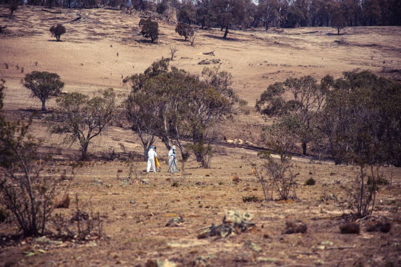 Personnel inspect an area following the crash of a C-130 air tanker plane after dropping fire retardant, in this January 24, 2020 picture obtained from social media, in Snowy Mountains, New South Wales, Australia