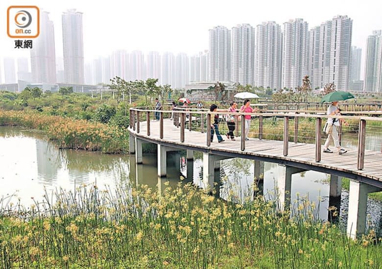 天水圍濕地公園一處泥灘日前發現帶有H5禽流感病毒黑臉琵鷺屍體。