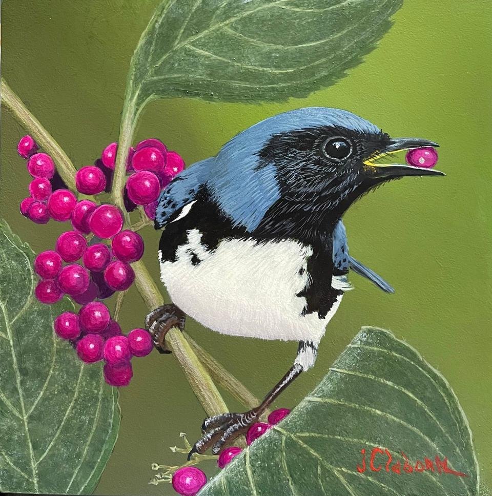 Joe Claborn's "Black Throated Warbler" is part the Collect  Meet the Artists Reception from 5:30-7:30 p.m. Jan. 25 in the Sara May Love Gallery at Gadsden Arts.