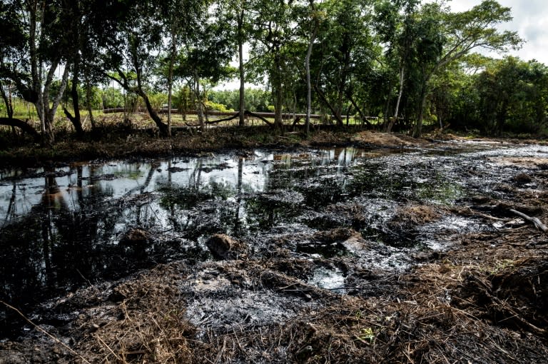 Un terrain souillé par la fuite d'un oléoduc de Petroleos de Venezuela (PDVSA) à Voladero, Etat de Monagas, le 5 novembre 2021 (AFP/Yuri CORTEZ)