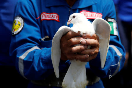 A rescue worker holds a white dove before releasing it near a building that collapsed during the September 2017 earthquake in Mexico City, Mexico September 19, 2018. REUTERS/Gustavo Graf