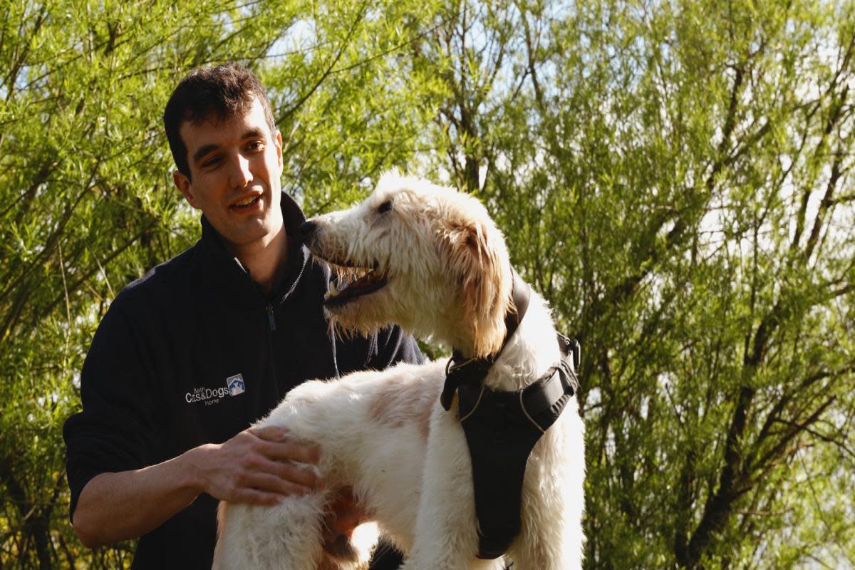 James Walker and rescue dog Morris feature in the campaign <i>(Image: Bath Cats and Dogs Home)</i>