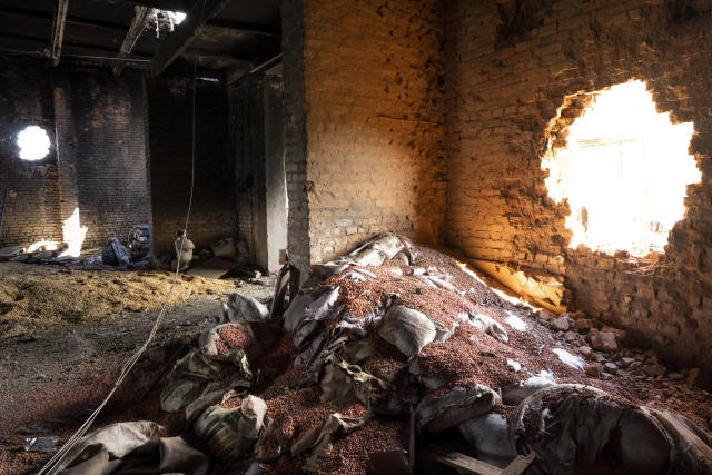 FILE - Scattered grain sits inside a warehouse damaged by Russian attacks in Cherkaska Lozova, outskirts of Kharkiv, eastern Ukraine, Saturday, May 28, 2022. Russian hostilities in Ukraine are preventing grain from leaving the “breadbasket of the world" and making food more expensive across the globe, raising the specter of shortages, hunger and political instability in developing countries. Together, Russia and Ukraine export nearly a third of the world’s wheat and barley, more than half its sunflower oil and are big suppliers of corn. (AP Photo/Bernat Armangue, File)