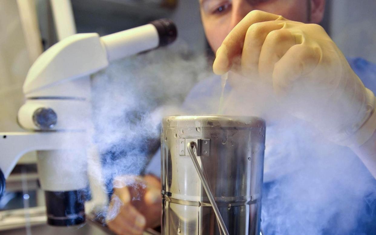 The number of women freezing their eggs has risen five-fold since 2013, official figures show. A scientist dropping an embryo, which is on a CryoLeaf, into a flask of liquid nitrogen to instantly freeze it as part of the vitrification process. - PA