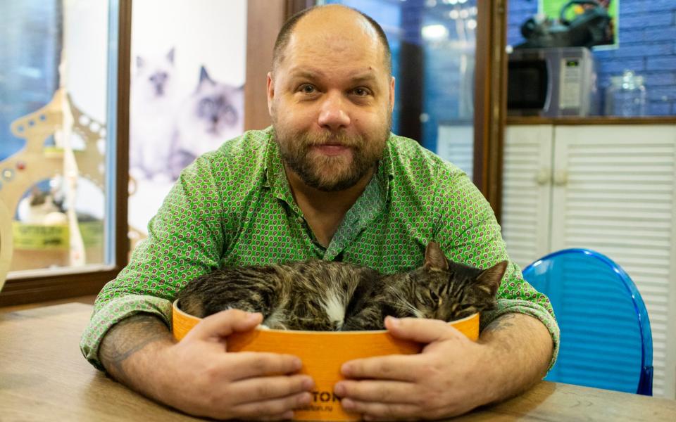 Vladimir Kuzin, founder of the Moscow cat cafe - Alexander Zemlianichenko Jr for The Telegraph
