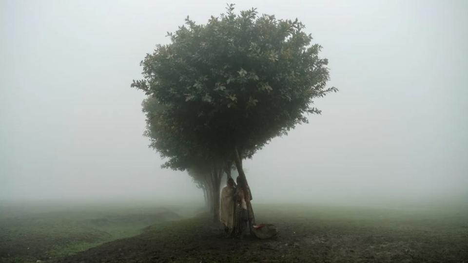 Un grupo de niños parados bajo un árbol en el lugar de un futuro campamento para refugiados eritreos