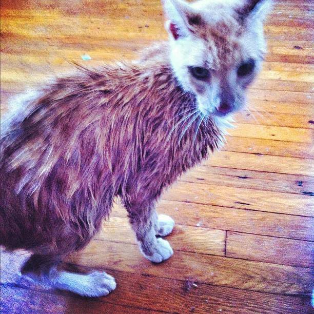 Bathtime