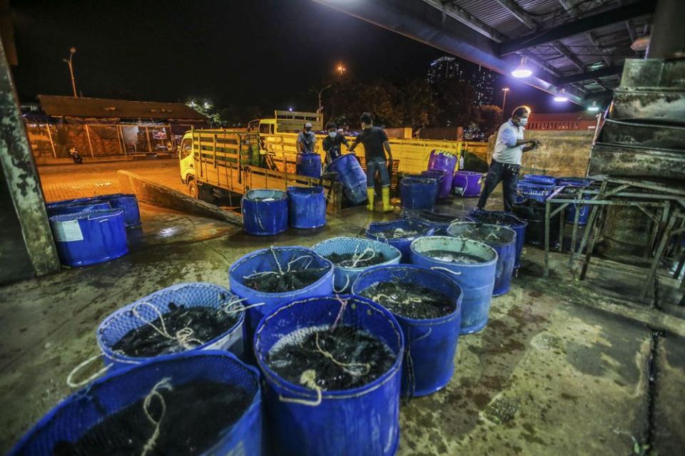 Traders at the Kuala Lumpur Wholesale Market resumed business after the enhanced movement control order on the area was lifted on May 13, 2020.