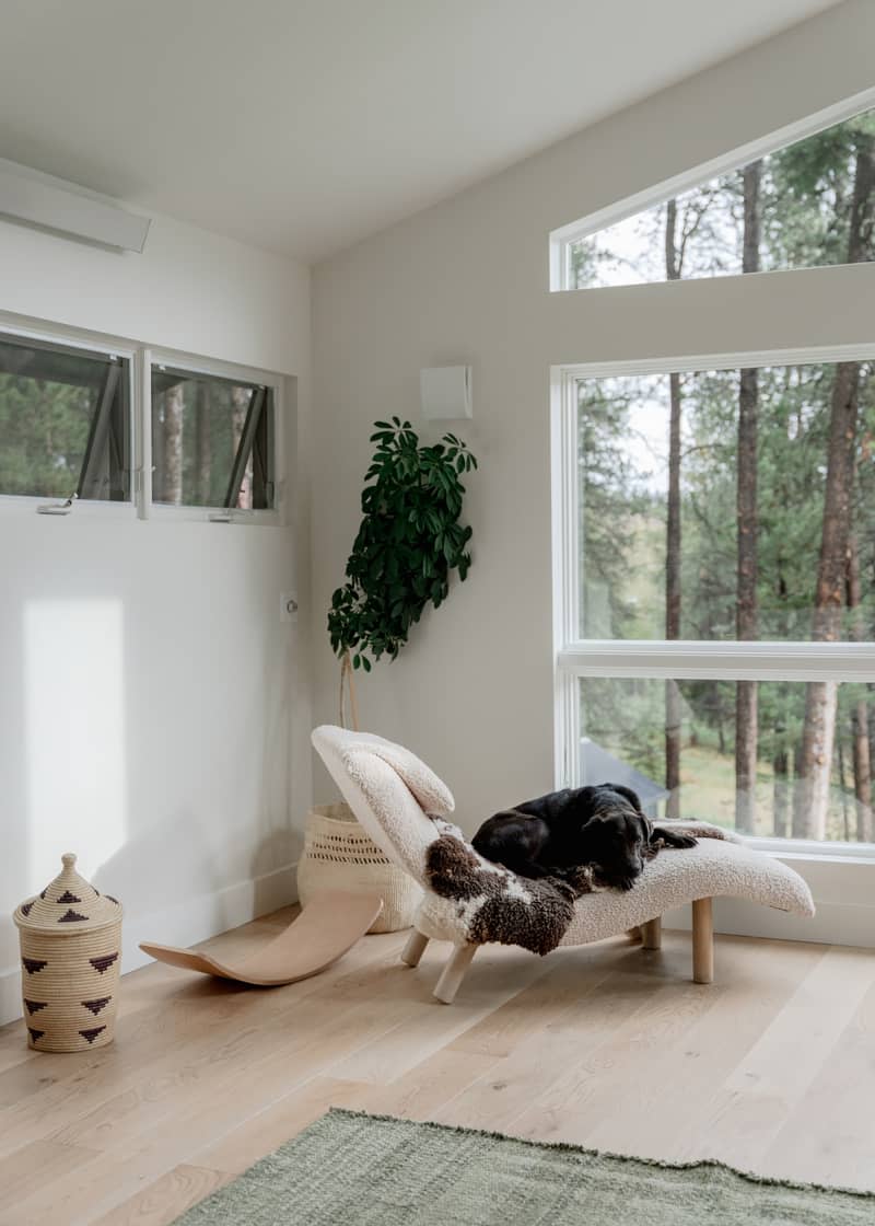 Dog lounging on chaise lounge in window of mountain home.