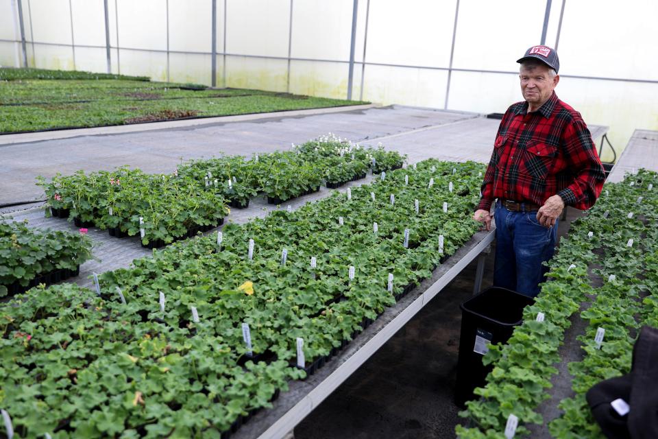 Officially retired, Ken Fessler, 83, can be found most days working in the greenhouses.