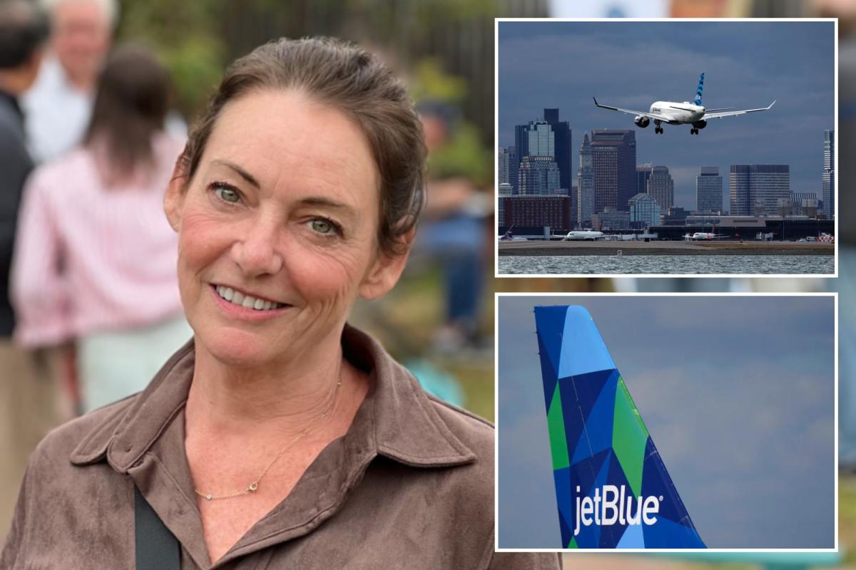 JetBlue passenger suffered 'life-changing' head injury after hard landing:  lawsuit