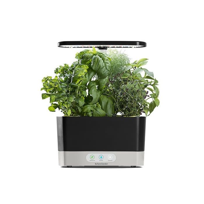 Aerogarden Harvest (AeroGarden / AeroGarden)