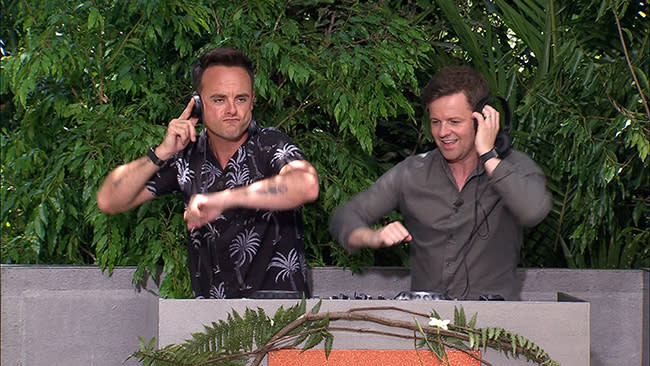 ant-and-dec-dj-in-jungle