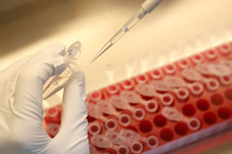 FILE PHOTO: A scientist dilutes samples during the research and development of a COVID-19 vaccine in St Petersburg