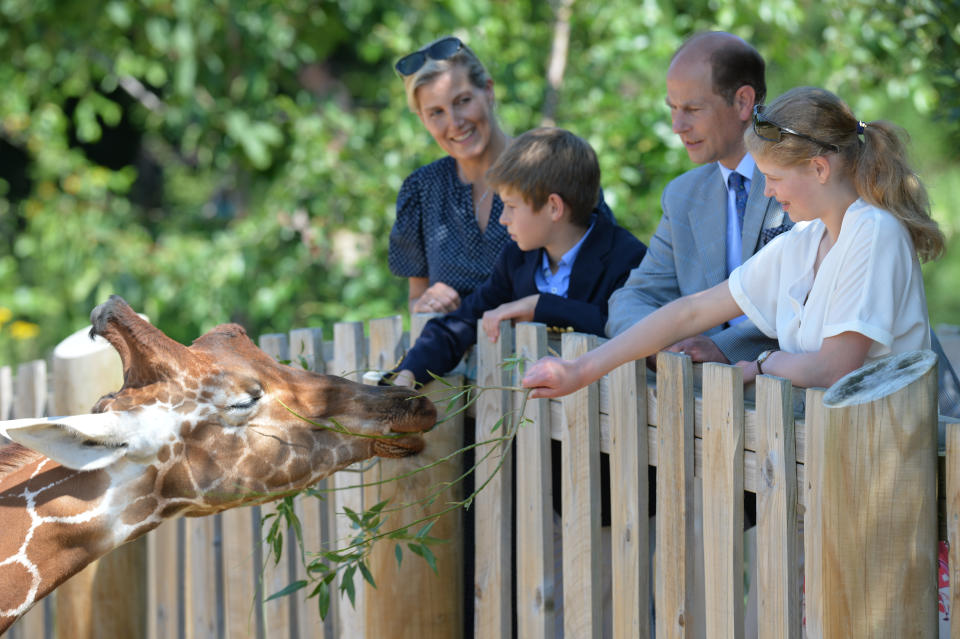 The Earl and Countess of Wessex, with their children, Lady Louise and James, Viscount Severn feeding a giraffe during a visit to Bear Wood at Wild Place Project in Bristol.