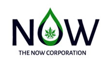 The Now Corporation