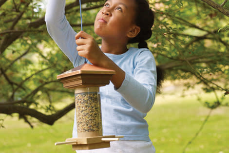 Build a birdfeeder