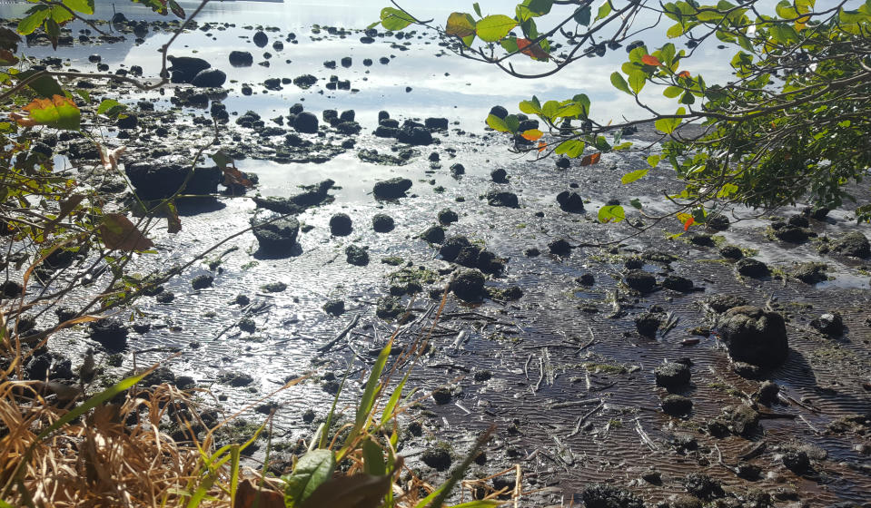 This photo taken and provided by Sophie Seneque, shows debris in Riviere des Creoles, Mauritius, Sunday Aug. 9, 2020, after it leaked from the MV Wakashio, a bulk carrier ship that recently ran aground off the southeast coast of Mauritius. Thousands of students, environmental activists and residents of Mauritius are working around the clock to reduce the damage done to the Indian Ocean island from an oil spill after a ship ran aground on a coral reef. Shipping officials said an estimated 1 ton of oil from the Japanese ship’s cargo of 4 tons has escaped into the sea. Workers were trying to stop more oil from leaking, but with high winds and rough seas on Sunday there were reports of new cracks in the ship's hull. (Sophie Seneque via AP)