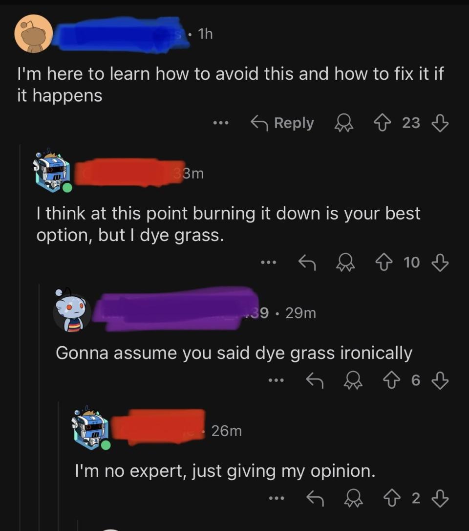 Screenshot of Reddit thread. The first user wants to learn how to avoid burning their lawn. The second user mentions they dye their grass. The third user comments on irony. The fourth user shares their opinion