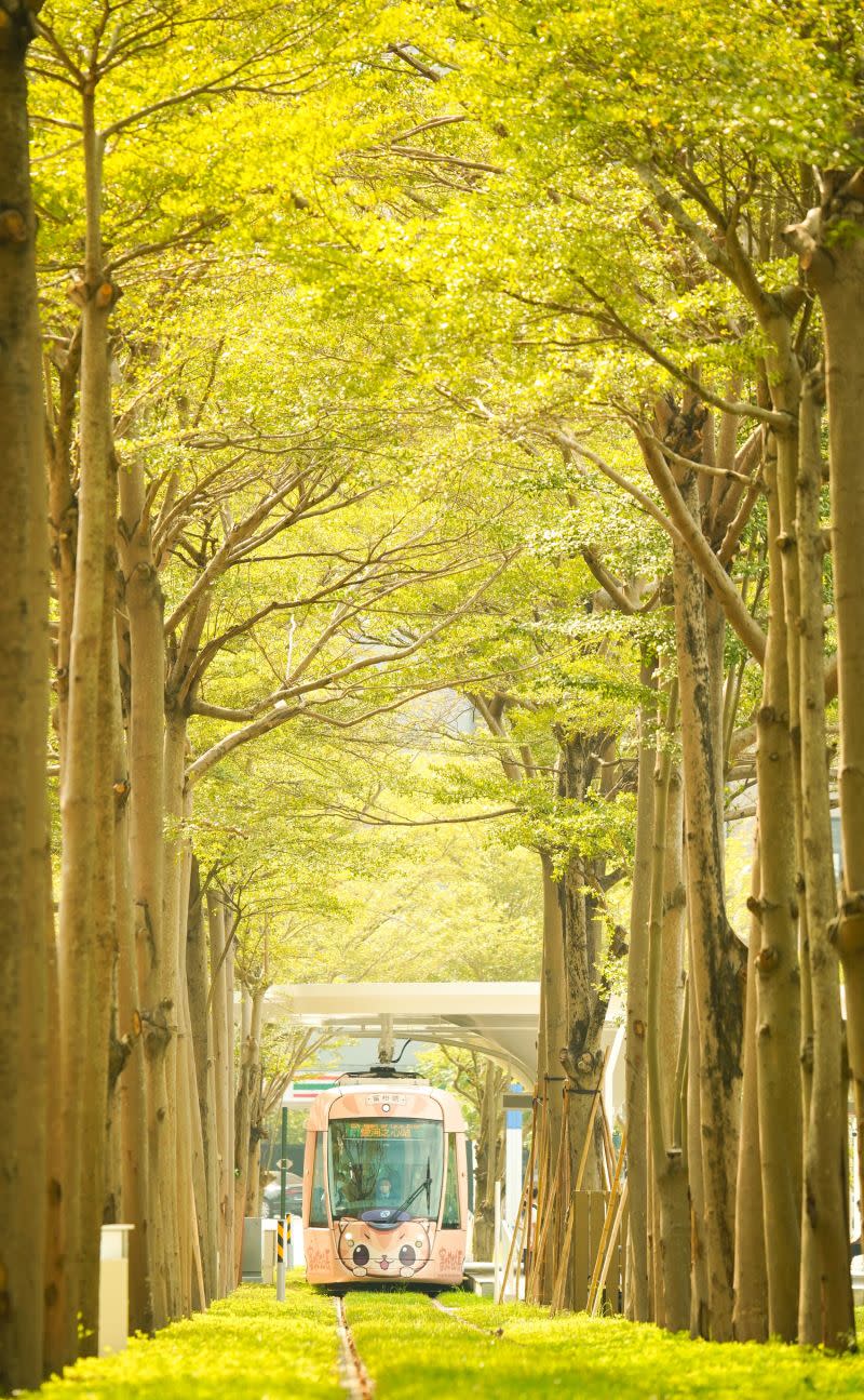 ▲輕軌最美路段「龍貓隧道」通車，高雄打卡景點再加1。（圖／高市府捷運局提供）