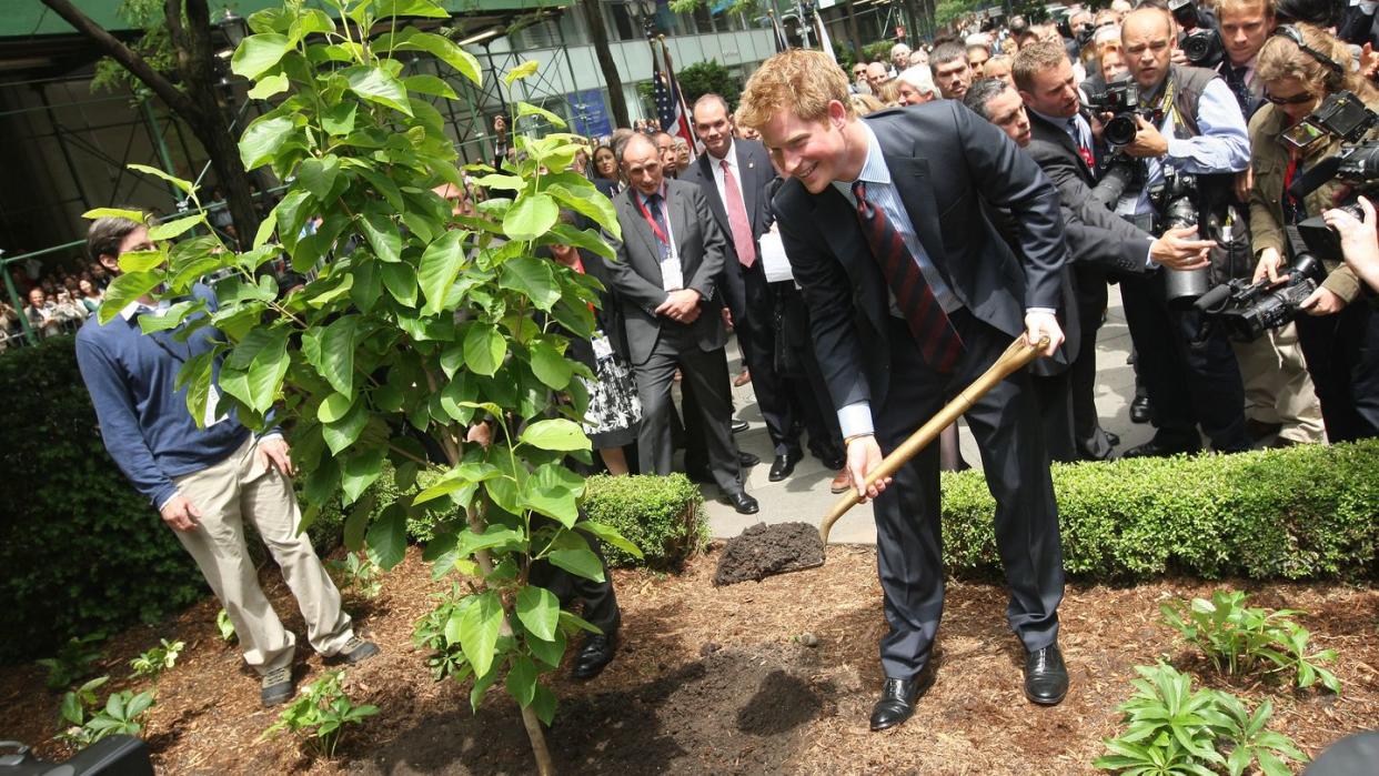 prince harry participates in the official naming of the british garden