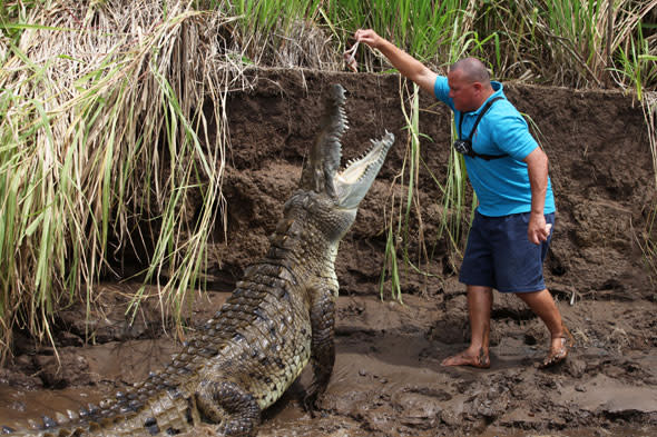 Tour guide hand feeds crocodile Jason Vargas Aguero