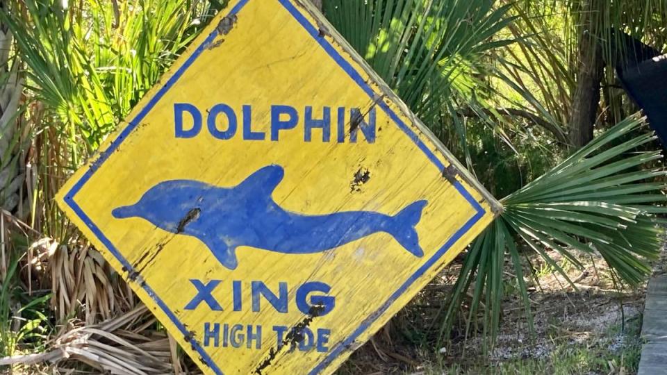A black cats seems to sit waiting by a vintage dolphin crossing sign on Tybee Island, Georgia.(Funny road signs )