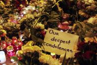 Germany calls for independent inquiry into MH17