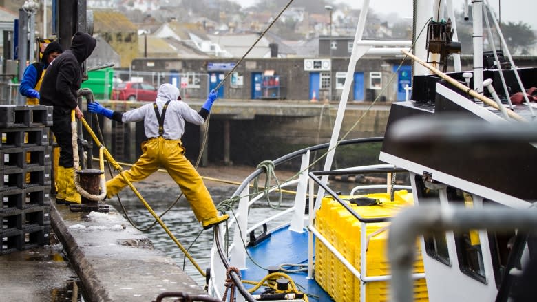British fishermen tired of taking 'scraps' from Brussels are counting down the days to Brexit