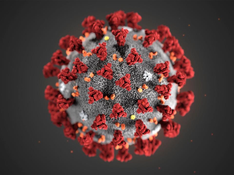 This illustration provided by the Centers for Disease Control and Prevention in January 2020 shows the 2019 Novel Coronavirus (2019-nCoV). This virus was identified as the cause of an outbreak of respiratory illness first detected in Wuhan, China. (CDC via AP)