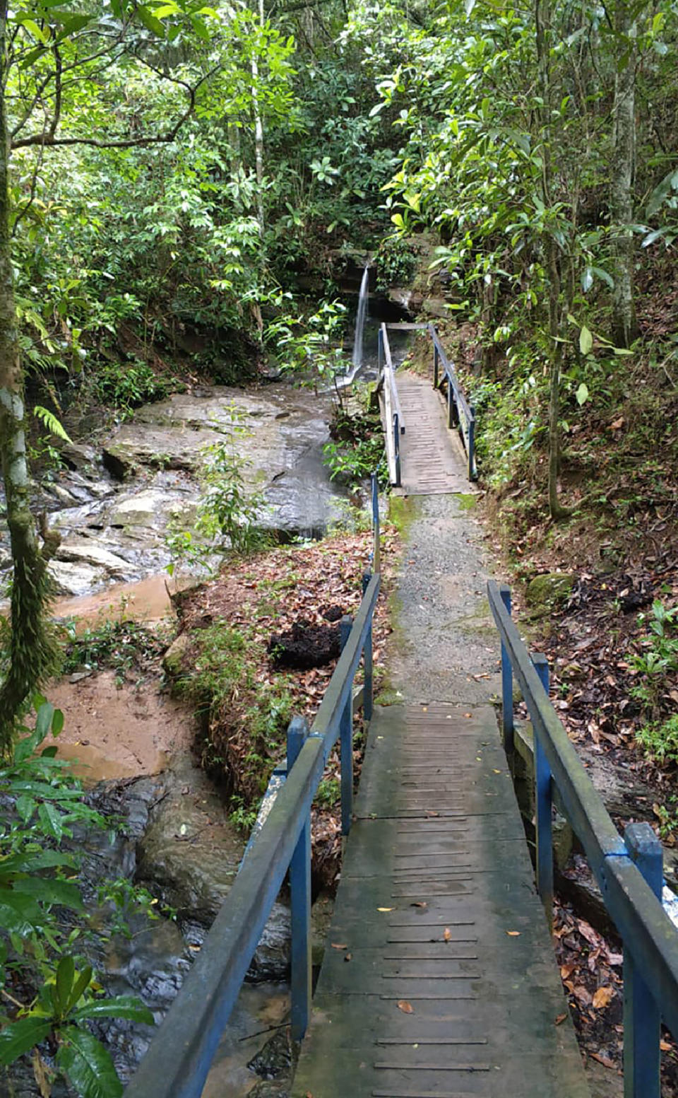 This undated Nov. 2020 photo released by Brazil's Goias state civil police shows a bridge leading to the site where police report they recovered the body of Japanese woman Hitomi Akamatsu in Abadiania, Brazil. Brazilian Civil Police arrested 18-year-old Rafael Lima da Costa who they say confessed to killing Akamatsu on Nov. 10 while robbing her. (Goias state civil police via AP)