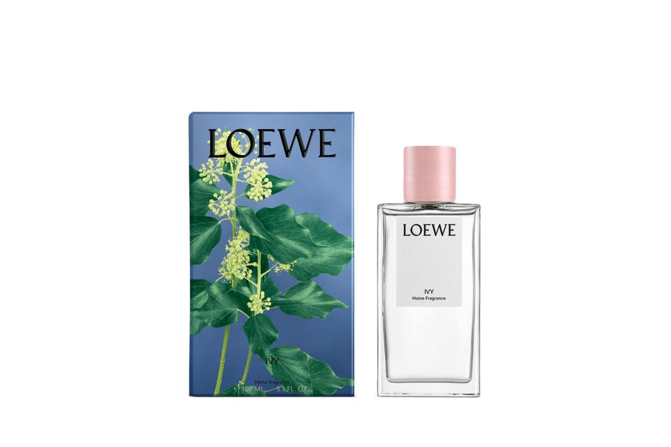 Loewe以植物自然氣息為主調的居家香氛及蠟燭正式面世