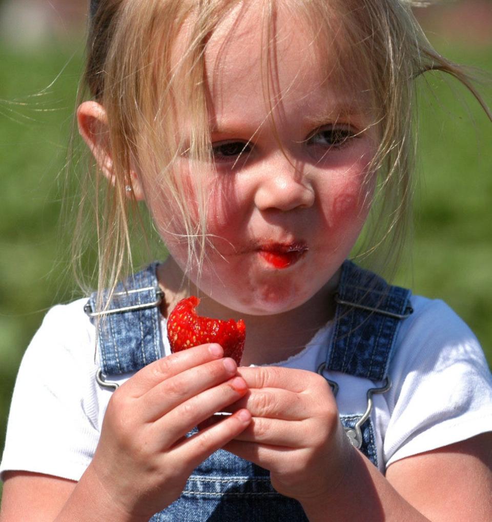 FILE - Two-year-old Samantha Burnham takes a bite of a ripe strawberry during the Ottawa Farms Strawberry Festival in Bloomingdale. The farm is a popular spot in Georgia for picking fresh berries.