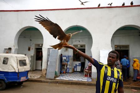 A man feeds birds in front of a meat market within the walled city of Harar, Ethiopia, February 24, 2017. REUTERS/Tiksa Negeri