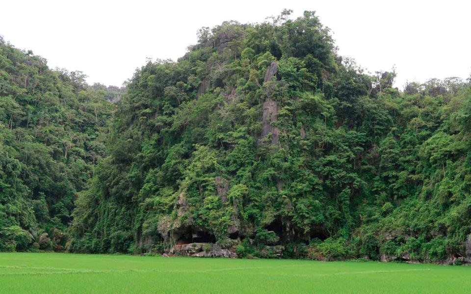 This undated handout photo shows the Leang Tedongnge cave in Sulawesi, Indonesia - ADHI AGUS OKTAVIANA /AFP 