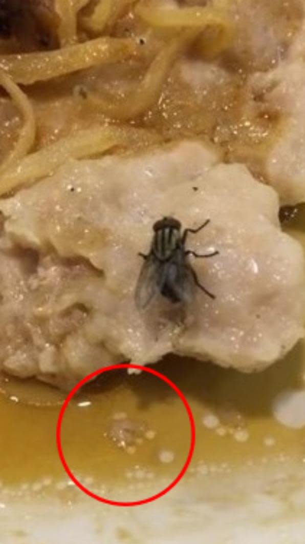 母蠅產下整坨蛆蟲。（圖／翻攝自@PLAY HARD 玩硬　Facebook）