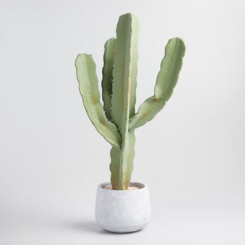 7) Faux Cactus