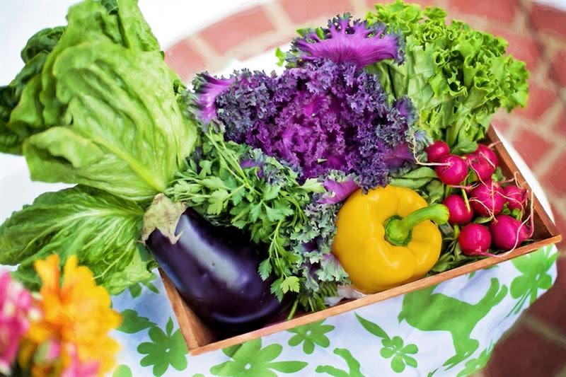 適當攝取蔬果對維持身體機能相當重要。（圖／翻攝自Pixabay）