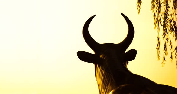 A bull facing away into a yellow background.