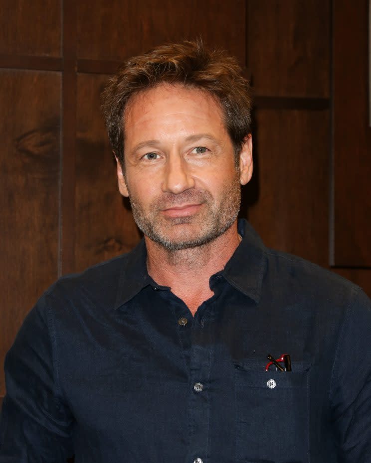 David Duchovny had something in common with Hank Moody. (Photo: Getty Images)