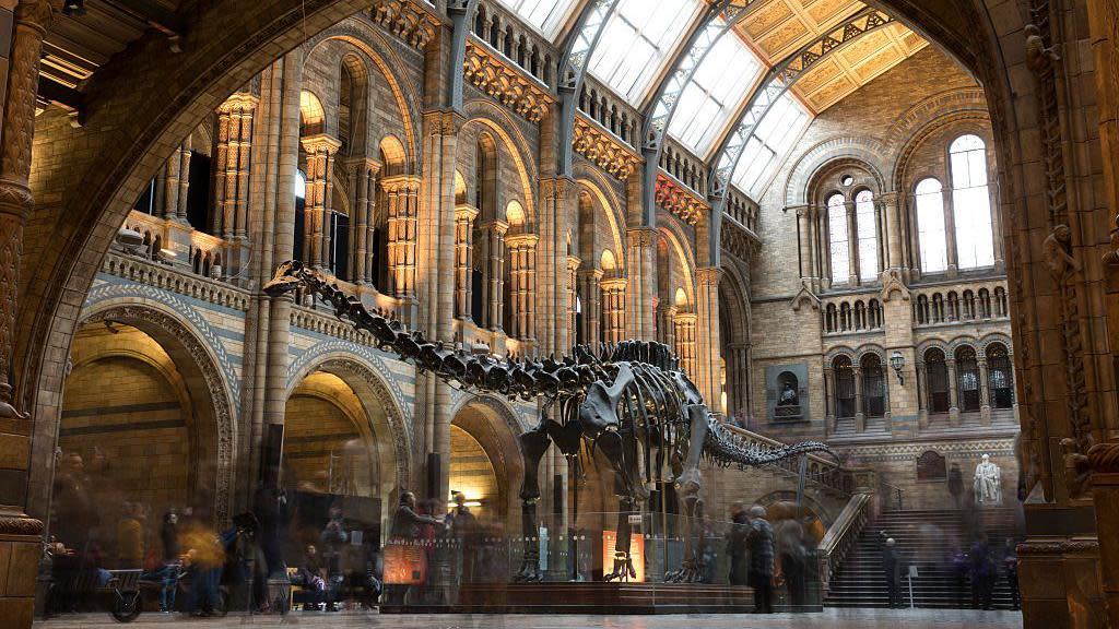 Entrada del Museo de Historia Natural de Londres.