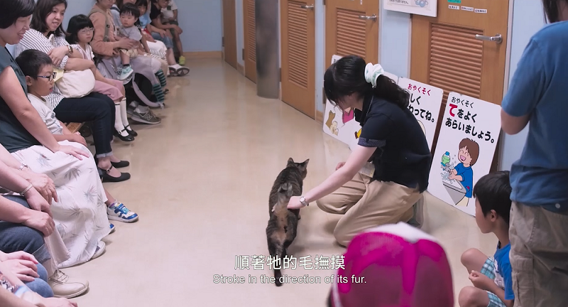  團隊參訪日本動物生命教育課程（影像提供：縫影子宇宙有限公司）