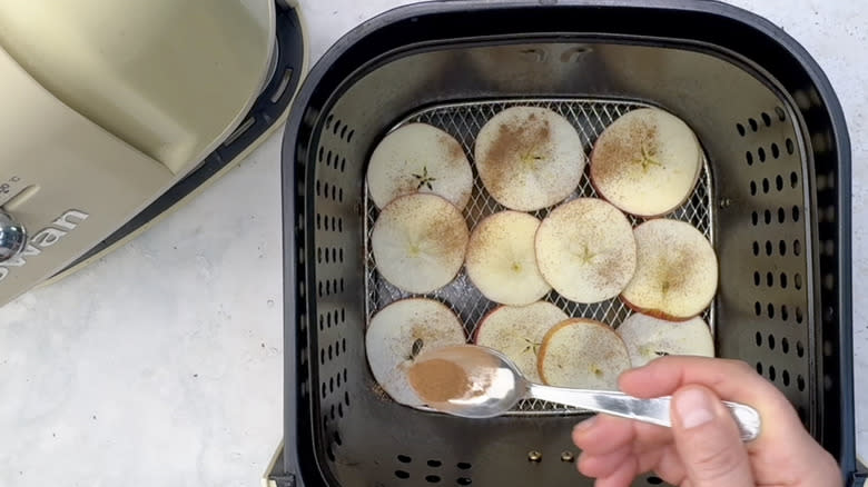 apple slices sprinkled with cinnamon