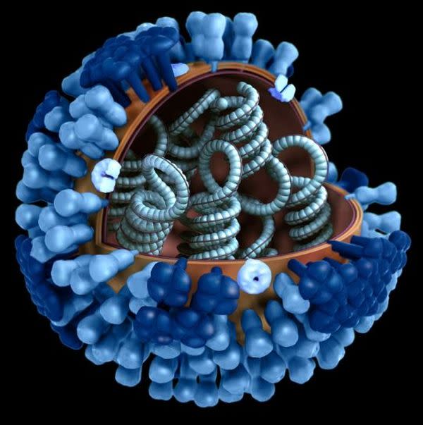 Representación tridimensional del virus de la gripe. (Crédito imagen: Pixnio.com).