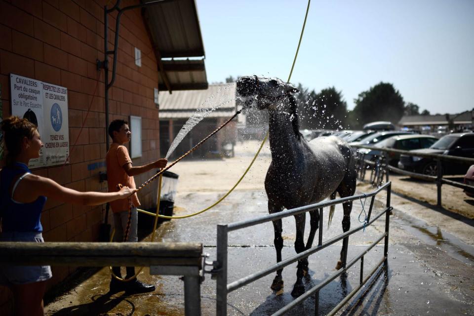 35 Photos That Capture Europe’s Sweltering Heatwave